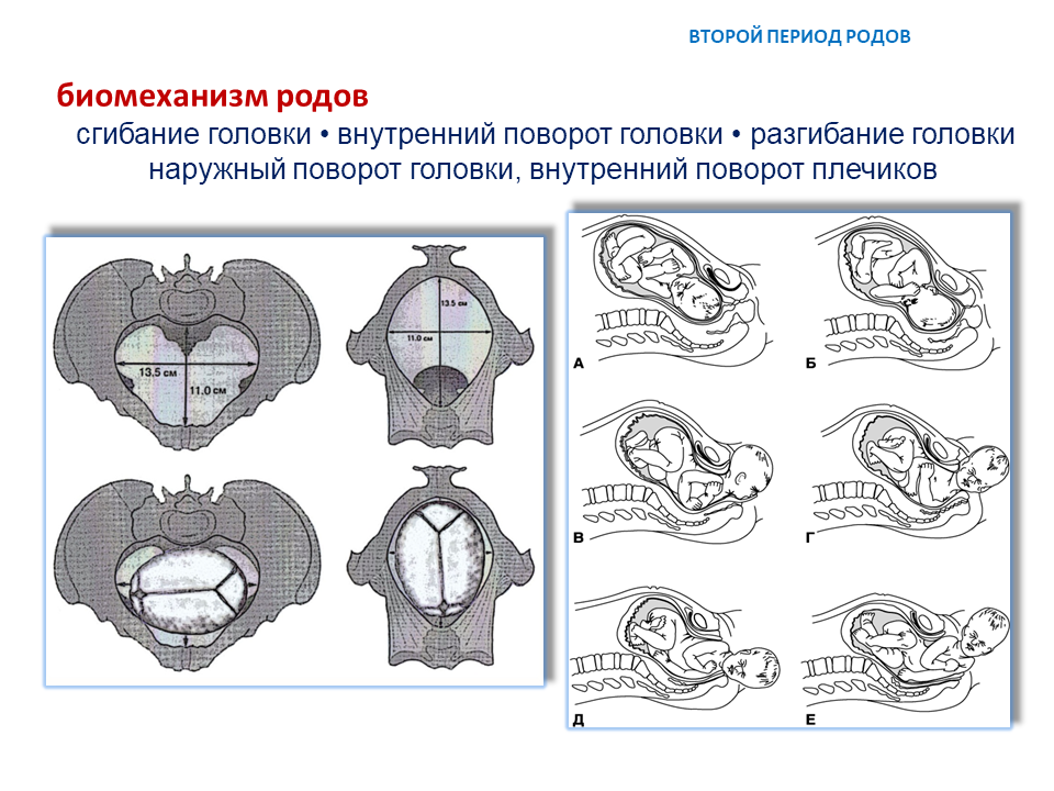 УЧЕБНЫЕ МАТЕРИАЛЫ - ЛЕКЦИИ МЕТОДИЧКИ